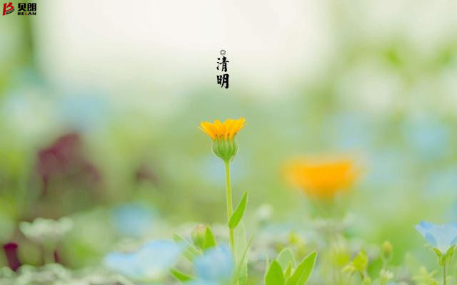 清明節緬懷先人、列士——貝朗自動化設備